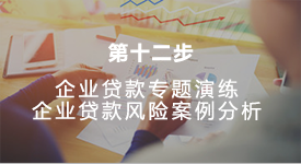 企业贷款风险案例分析
